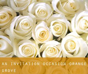 An Invitation Occasion (Orange Grove)