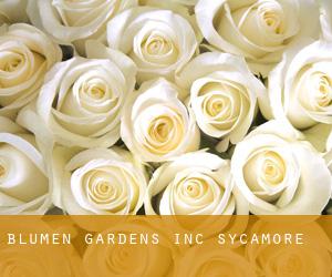 Blumen Gardens Inc (Sycamore)