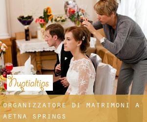 Organizzatore di matrimoni a Aetna Springs