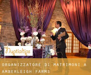 Organizzatore di matrimoni a Amberleigh Farms