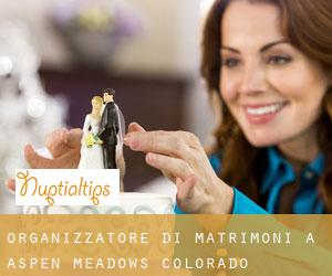 Organizzatore di matrimoni a Aspen Meadows (Colorado)
