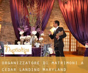Organizzatore di matrimoni a Cedar Landing (Maryland)