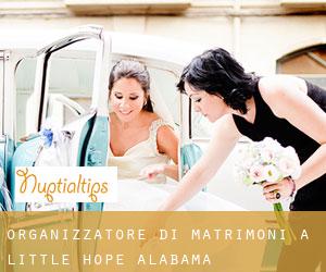 Organizzatore di matrimoni a Little Hope (Alabama)