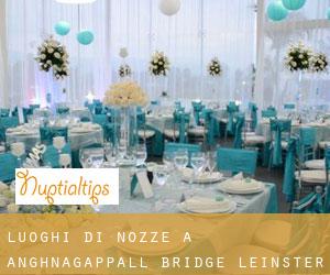 Luoghi di nozze a Anghnagappall Bridge (Leinster)