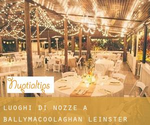 Luoghi di nozze a Ballymacoolaghan (Leinster)