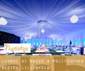 Luoghi di nozze a Politischer Bezirk Lilienfeld