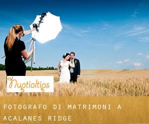 Fotografo di matrimoni a Acalanes Ridge