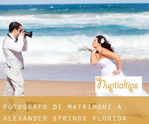 Fotografo di matrimoni a Alexander Springs (Florida)