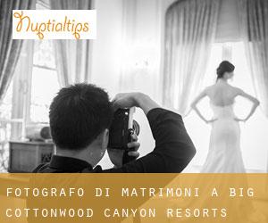 Fotografo di matrimoni a Big Cottonwood Canyon Resorts