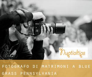 Fotografo di matrimoni a Blue Grass (Pennsylvania)
