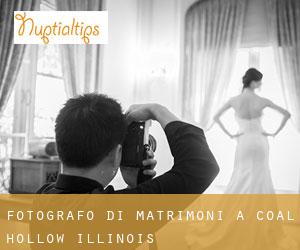 Fotografo di matrimoni a Coal Hollow (Illinois)