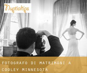 Fotografo di matrimoni a Cooley (Minnesota)