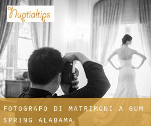 Fotografo di matrimoni a Gum Spring (Alabama)