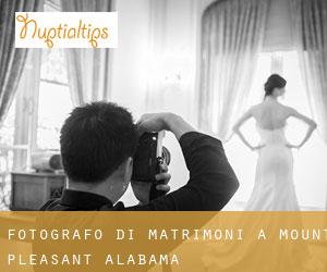 Fotografo di matrimoni a Mount Pleasant (Alabama)