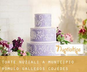 Torte nuziali a Municipio Rómulo Gallegos (Cojedes)