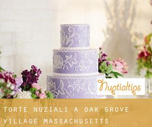 Torte nuziali a Oak Grove Village (Massachusetts)