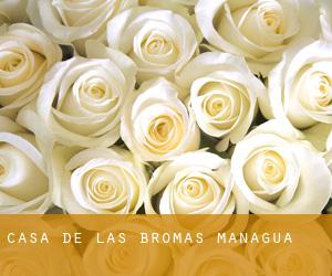 CASA DE LAS BROMAS (Managua)