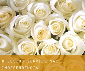 D Julius Service S.A.C (Independencia)