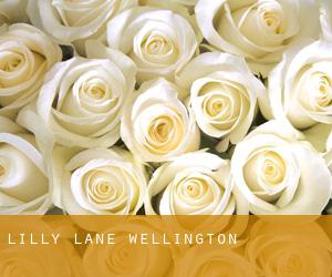 Lilly Lane (Wellington)