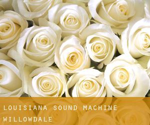 Louisiana Sound Machine (Willowdale)