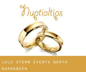 Lulu Storm Events (North Narrabeen)