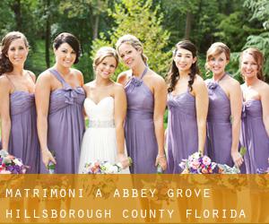matrimoni a Abbey Grove (Hillsborough County, Florida)