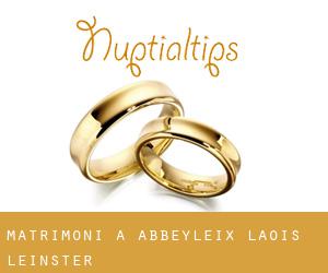 matrimoni a Abbeyleix (Laois, Leinster)