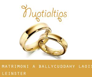 matrimoni a Ballycuddahy (Laois, Leinster)