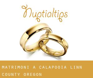 matrimoni a Calapooia (Linn County, Oregon)