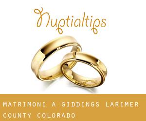 matrimoni a Giddings (Larimer County, Colorado)