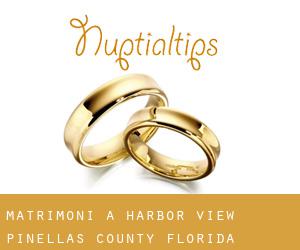 matrimoni a Harbor View (Pinellas County, Florida) matrimoni a Harbor View (Pinellas County, Florida)