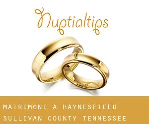 matrimoni a Haynesfield (Sullivan County, Tennessee)