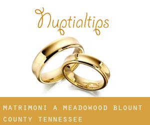 matrimoni a Meadowood (Blount County, Tennessee)