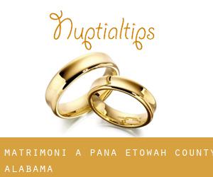 matrimoni a Pana (Etowah County, Alabama)