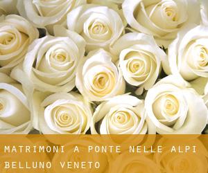 matrimoni a Ponte nelle Alpi (Belluno, Veneto)