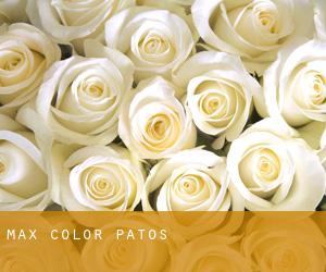 Max Color (Patos)