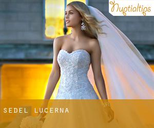 Sedel (Lucerna)