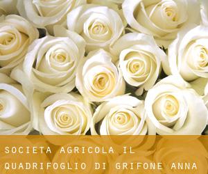 Societa' Agricola Il Quadrifoglio di Grifone Anna Rosa (Montenero di Bisaccia)